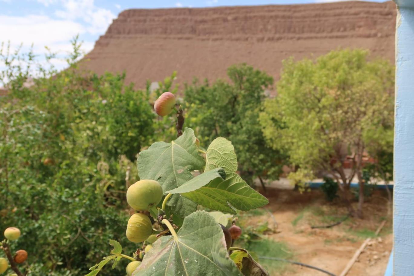Gite D'Etape Ziz Oasis Achbarou Esterno foto