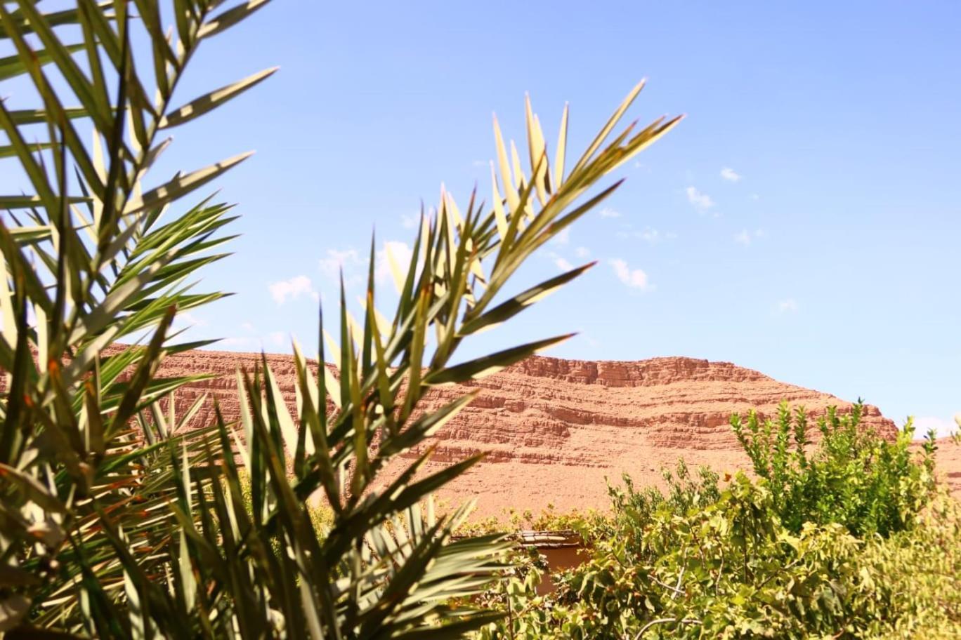 Gite D'Etape Ziz Oasis Achbarou Esterno foto