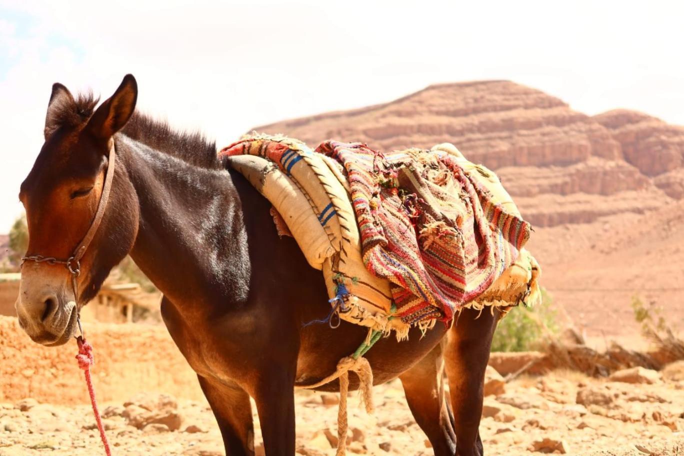 Gite D'Etape Ziz Oasis Achbarou Esterno foto