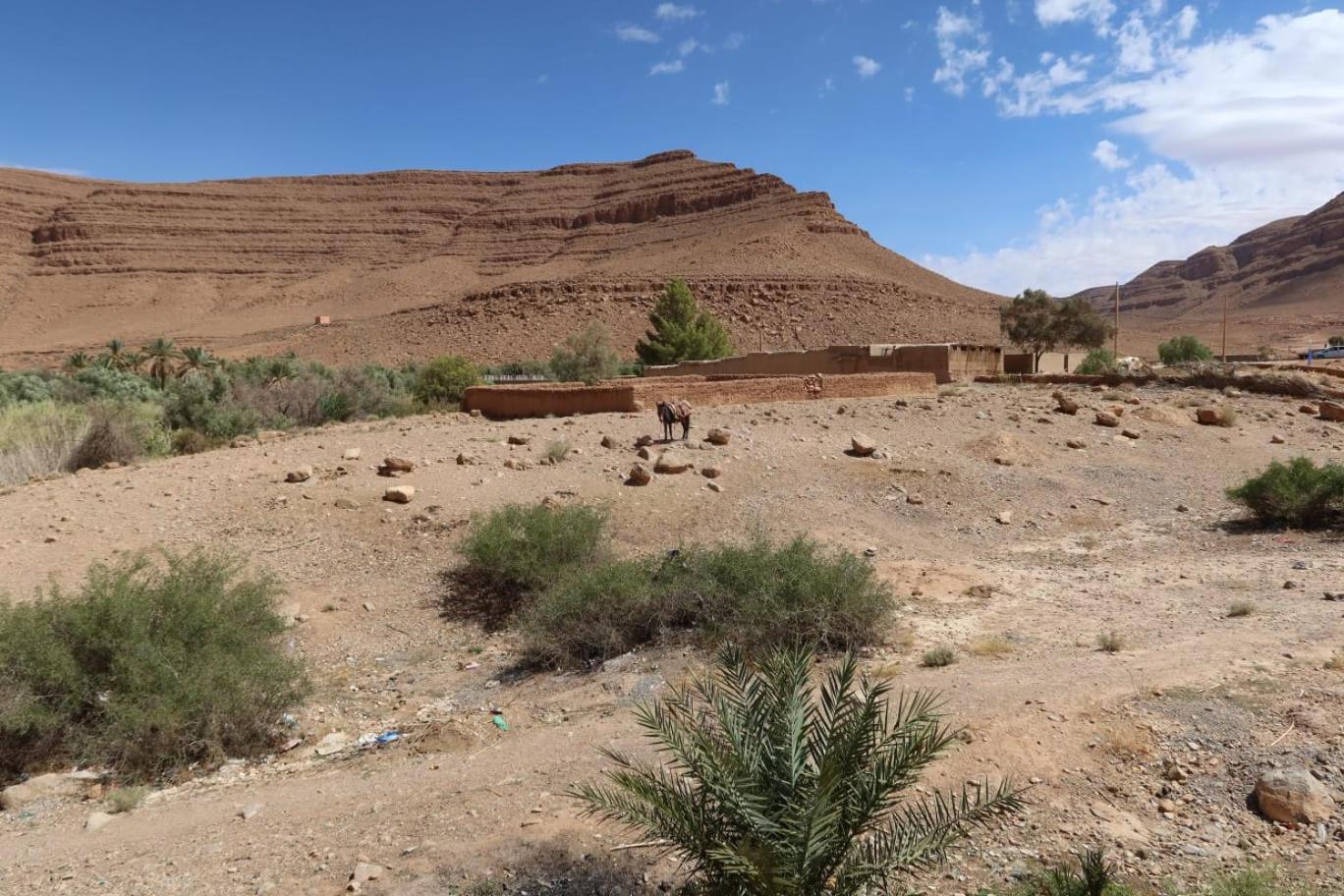 Gite D'Etape Ziz Oasis Achbarou Esterno foto