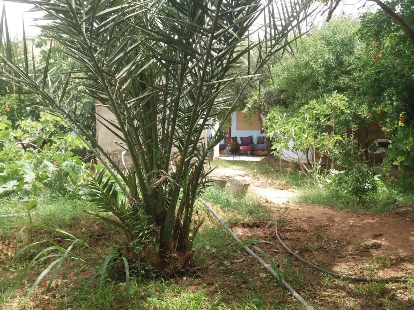 Gite D'Etape Ziz Oasis Achbarou Esterno foto
